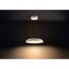 Hanglamp Philips Hue White ambiance Amaze_2