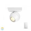 Opbouwspot Philips Hue White ambiance Buckram 1 spot