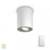 Opbouwspot Philips Hue White ambiance Pillar